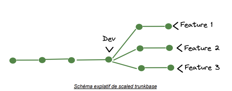 Schéma explatif de scaled trunkbase